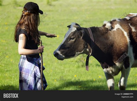 two hundred in spanish|female cow in spanish.